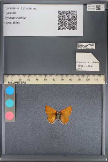 Media type: image;   Entomology 192790